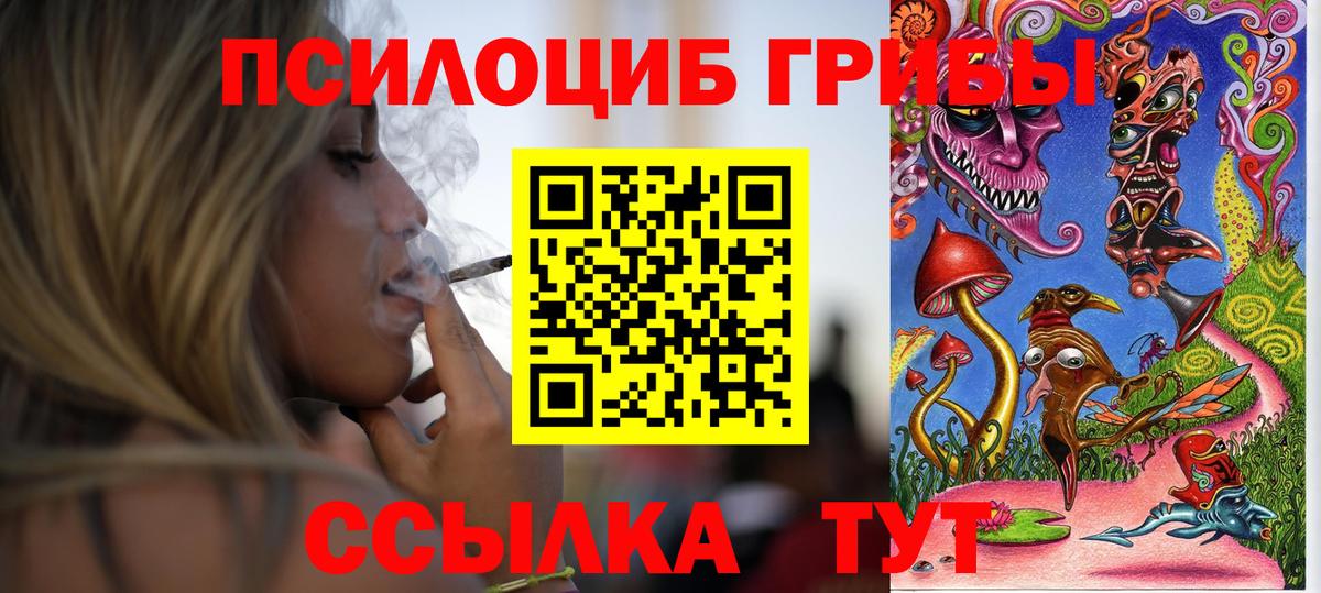 Подольск  Псилоцибиновые грибы мицелий  Вход с VPN 